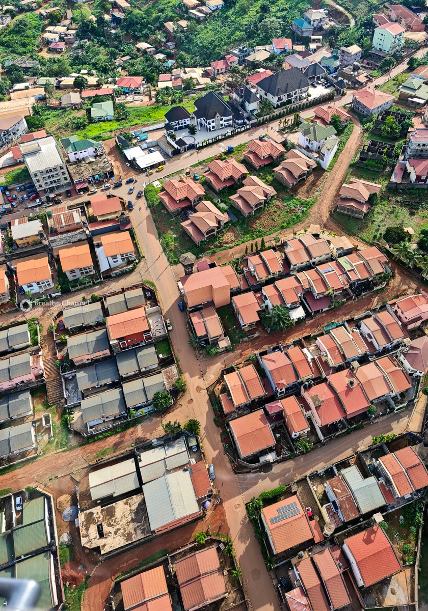 Eric Joel Manej tweet media