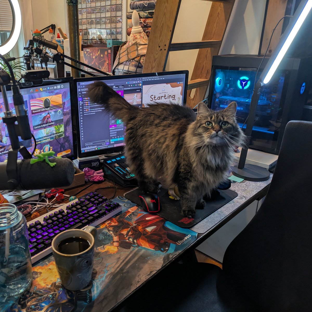 Amy the Amazonian ☕ 💕 🤖 tweet media