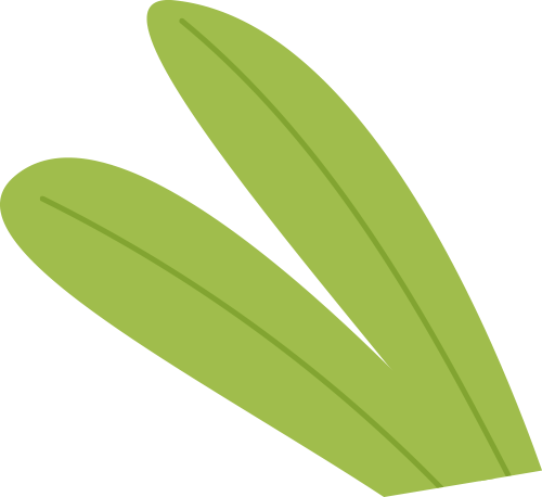 vanessa pardini maia tweet media