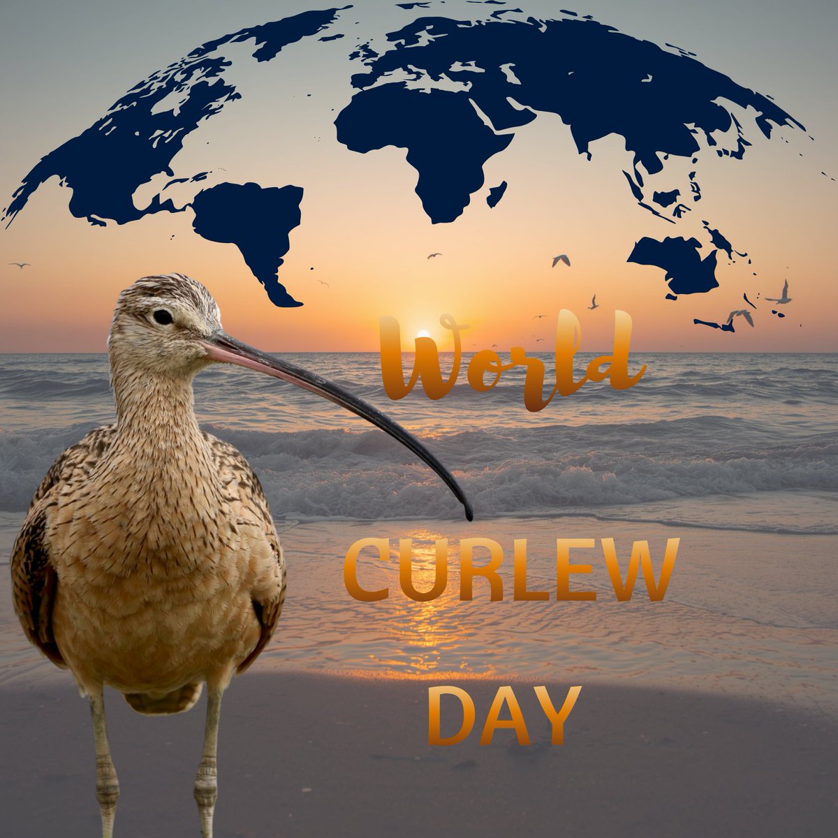 waderquest's tweet image. World Curlew Day tomorrow. 
Be #inspired by #waders or #shorebirds
#charity #wildlifeconservation
#WorldCurlewDay #SaveOurCurlews 
@CurlewAction 
@curlewcalls 
#EurasianCurlew