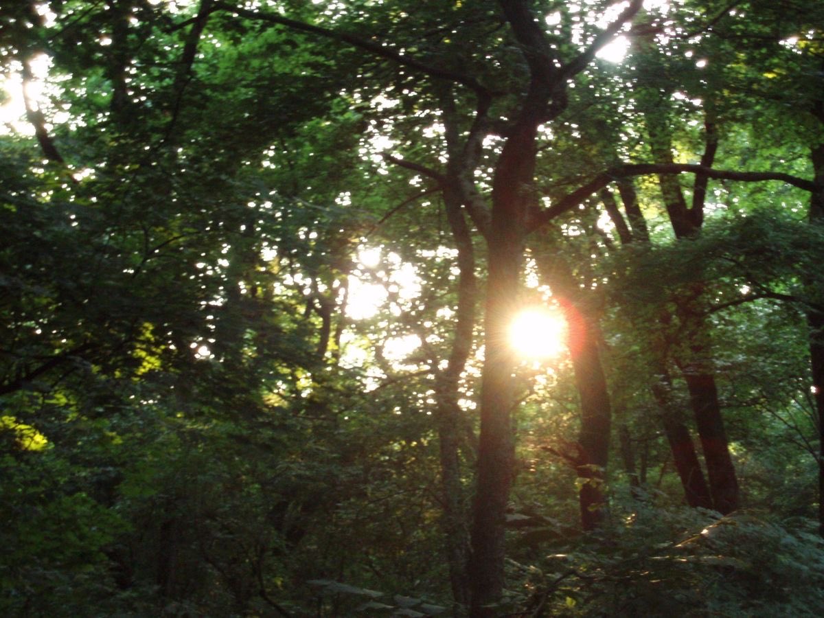 Lily ✮⋆˙ tweet media