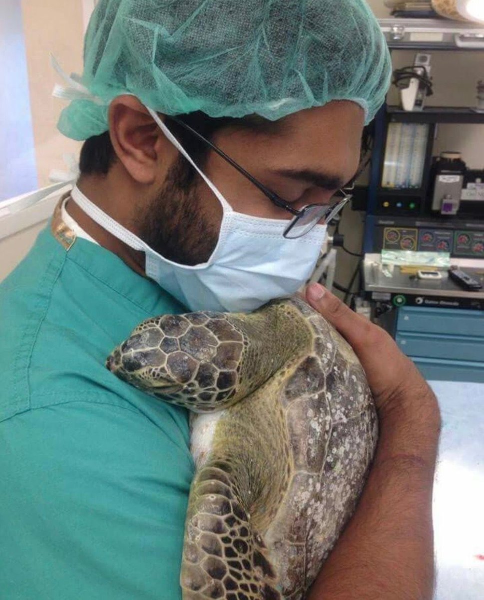 عزيزة الفؤاد tweet media