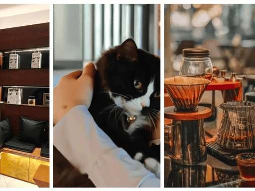 flj jones tweet media