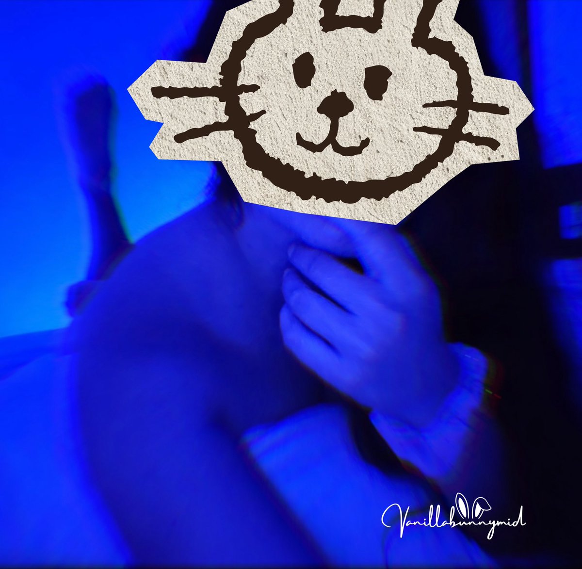 Vanilla bunny tweet media