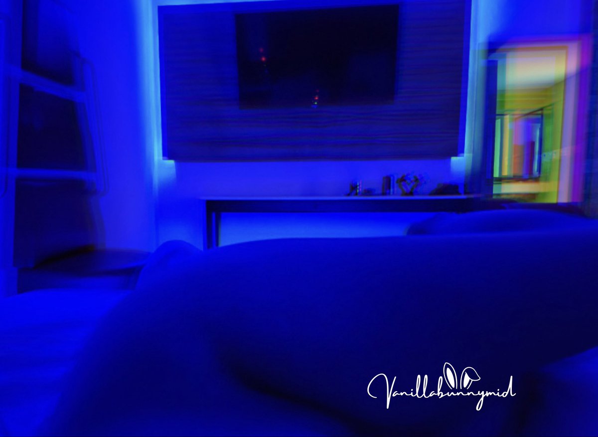 Vanilla bunny tweet media