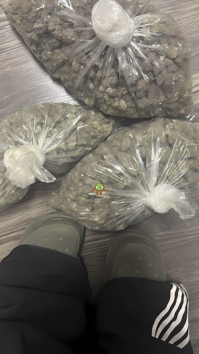 ฿д¢ةИ🇩🇴𐕣𓃶 tweet media