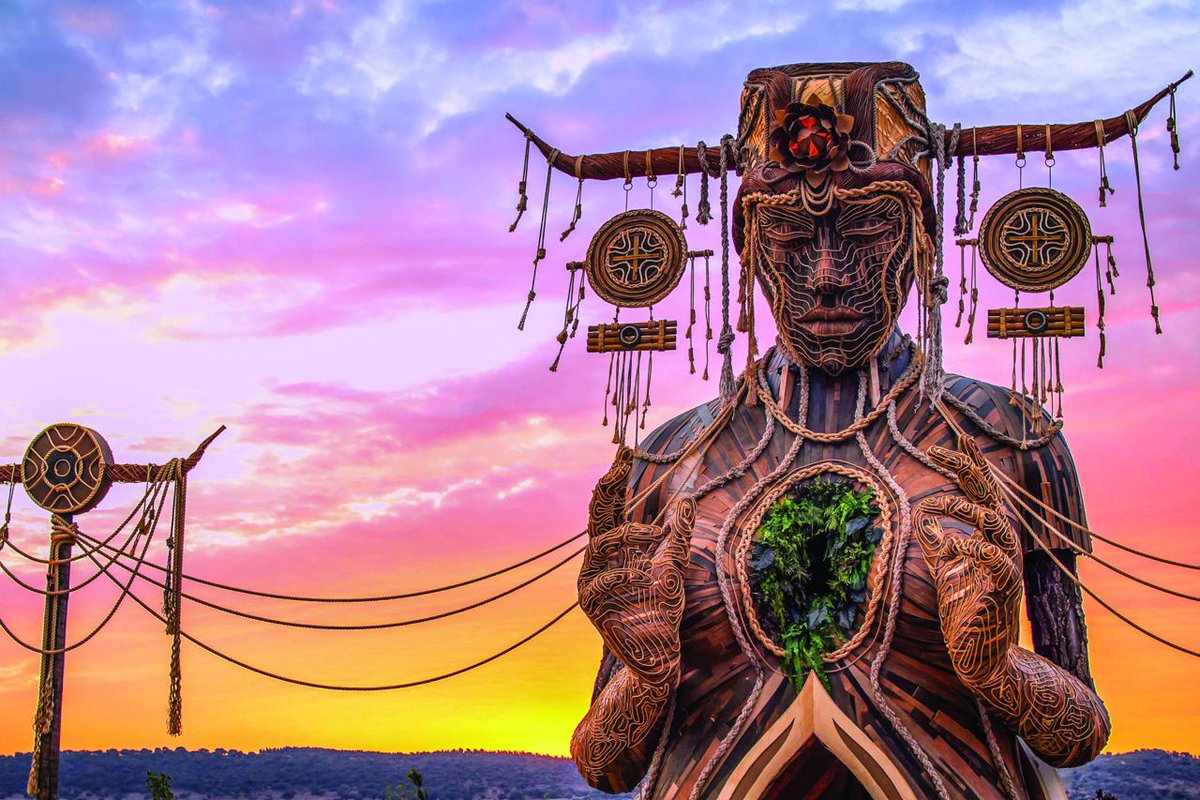 Daniel Popper tweet media