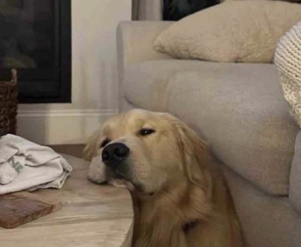 ¿Cómo te sientes?
- Yo：