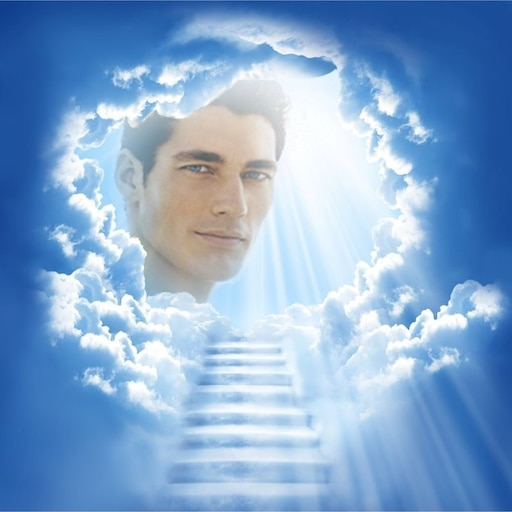 Clavicular tweet media