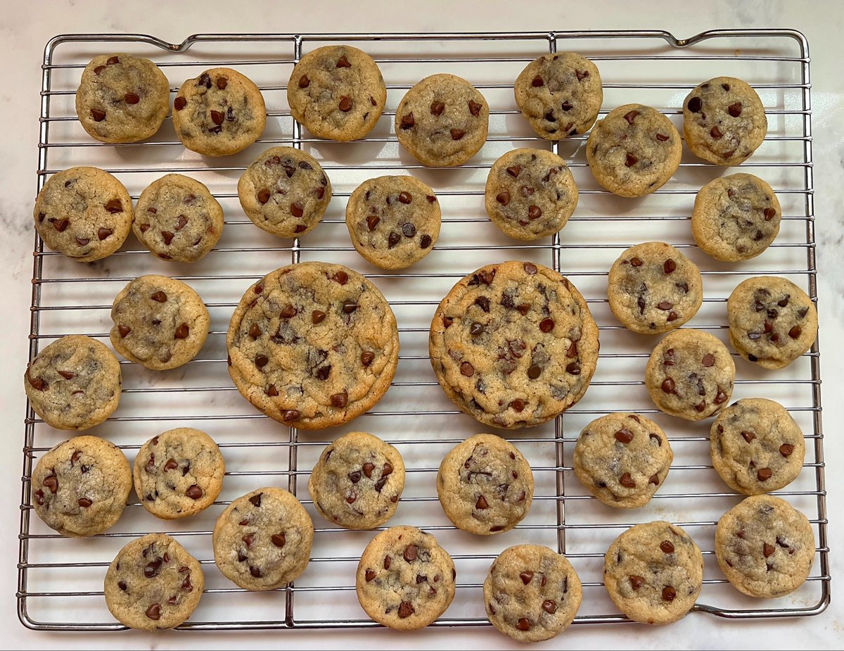 Made some brown butter chocolate chip cookies. I think I like the little ones even more than the big ones