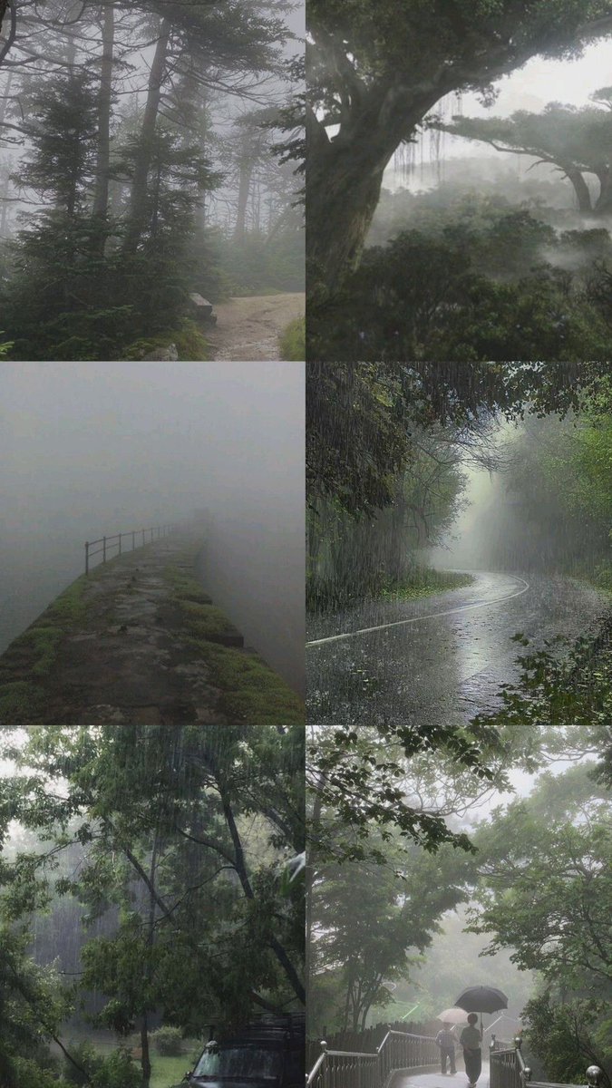 𝘯𝑎𝘵𝑢𝘳𝑒. tweet media