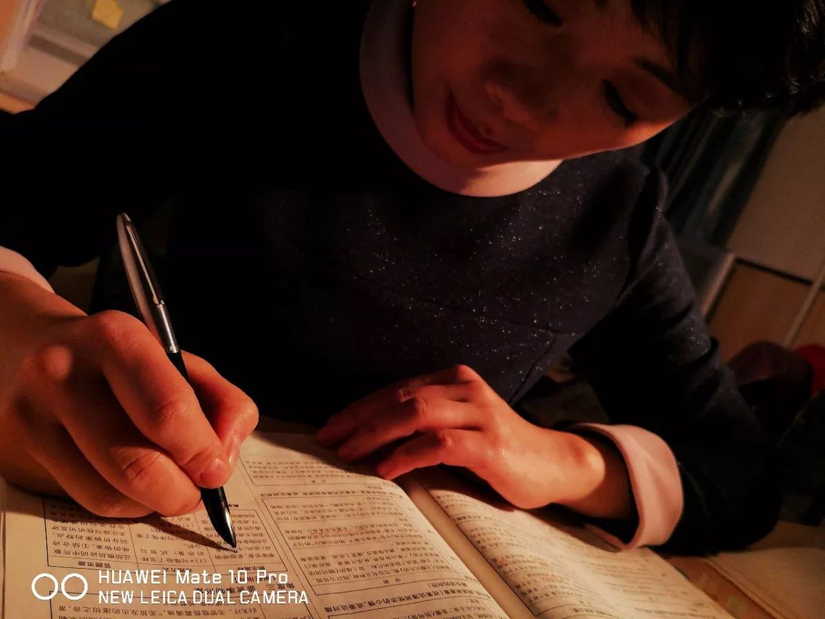 shani weiss tweet media