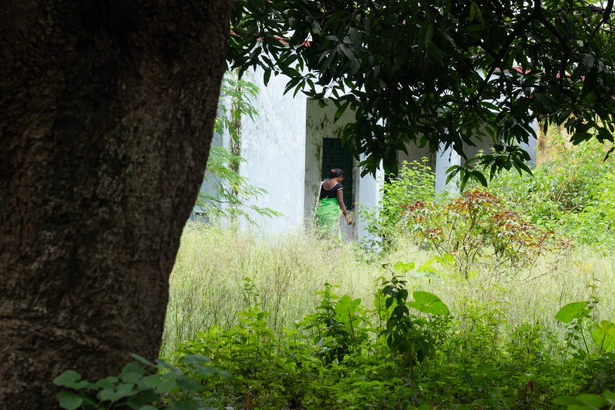 s_sarmadhikari's tweet image. #photography #sonyalpha #ruralphotography #ruralindia #people #place #mccluskiegunj #jharkhand