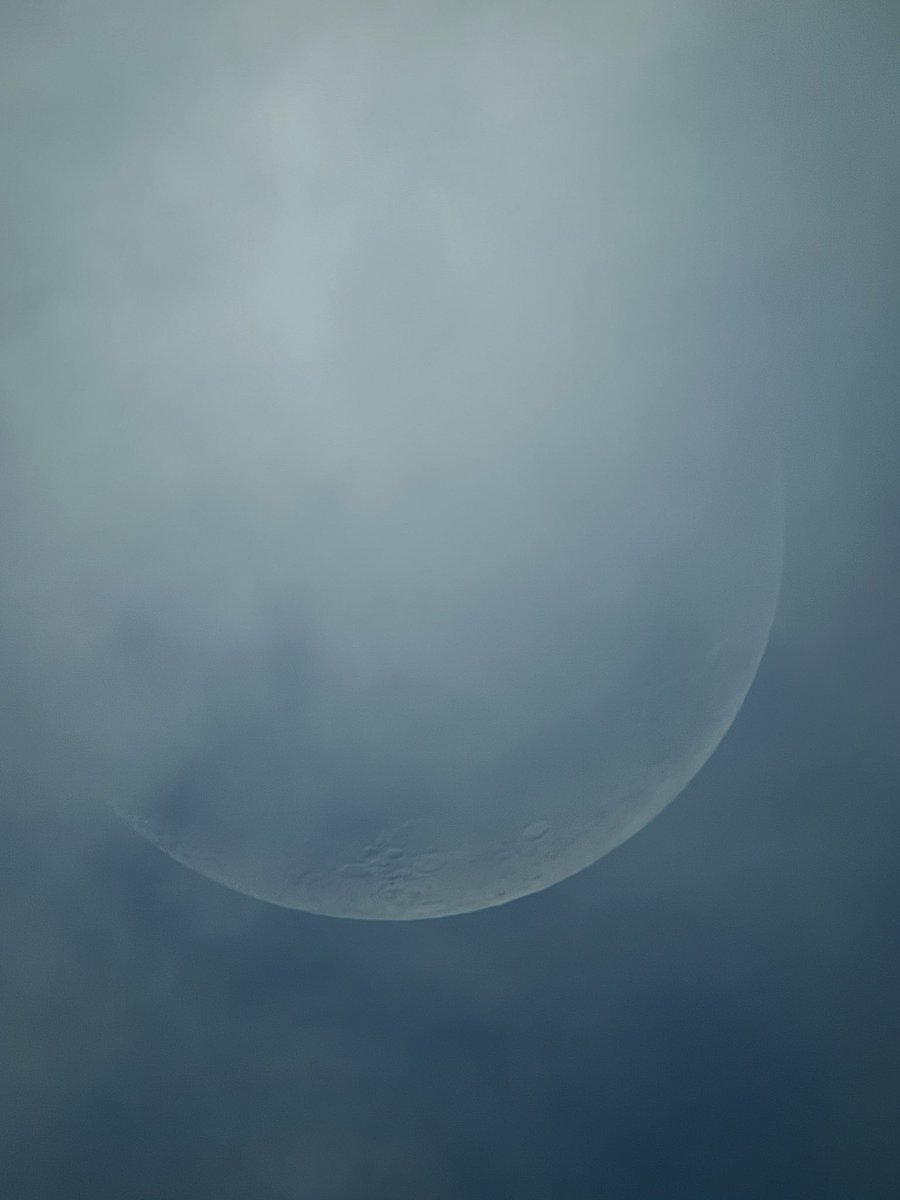 Skink101's tweet image. Could be a good evening 😁
#Moon