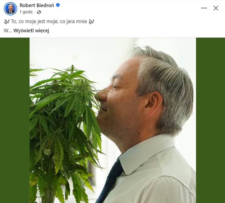 Konrad Wernicki tweet media