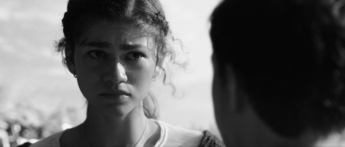 🌷 , petra! 𝜗𝜚 tweet media