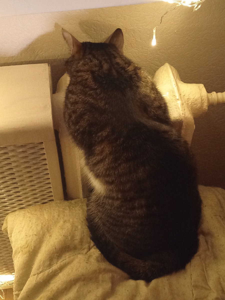 🌕𝖆𝖙𝖙𝖎𝖈 𝖌𝖍𝖔𝖘𝖙 tweet media