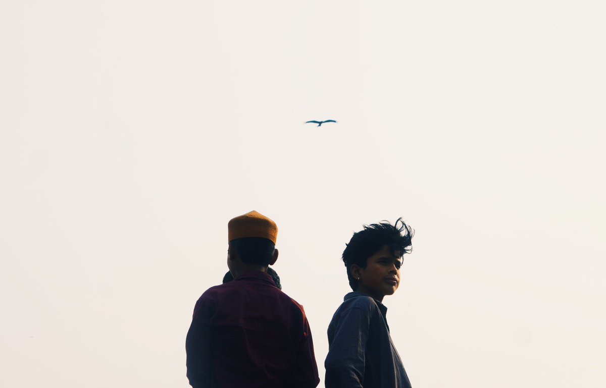 frank ocean lyric bot tweet media