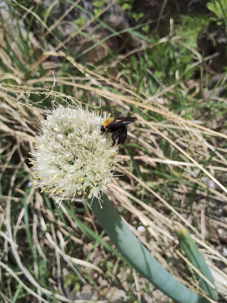 カバな幸せ【相互フォロー】 tweet media