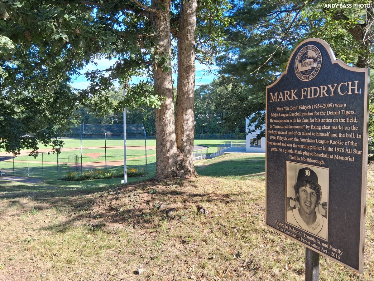 Andy Bass tweet media