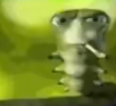 nana ⚢ jurídico stella ๋ ࣭ ⭑ tweet media