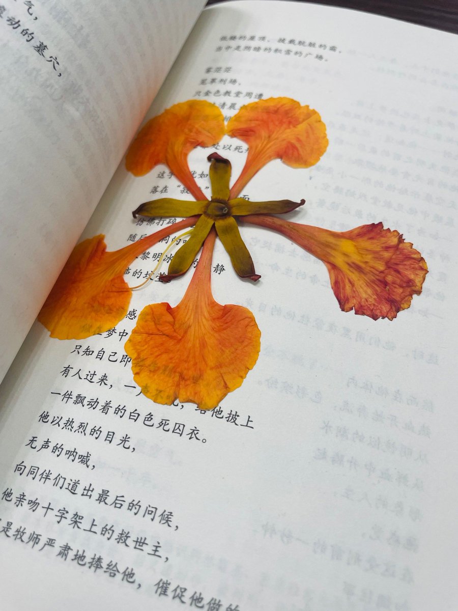 Johann Jansen tweet media