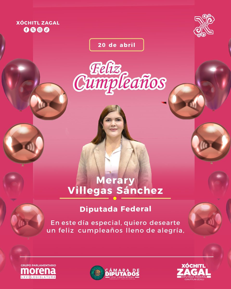 Diputada Xóchitl Zagal tweet media