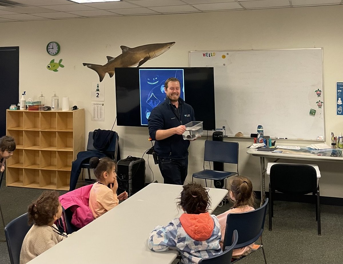 WCS Education tweet media