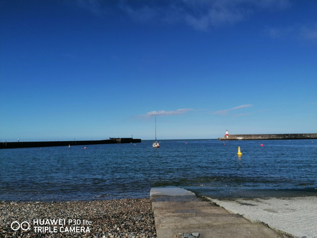 Bernieadufe's tweet photo. #SecondSwim🌊
My salty friend was legally high, cool but welcoming this evening. I love this time of year when we meet up twice a day. It was really relaxing after my busy day of helping friends &amp; gardening.
#SeaSwimming
#SwimmingLife
#BeautifulSea
#SpringSwim
#WicklowHarbour
❤️ https://t.co/pXkAFumcaq