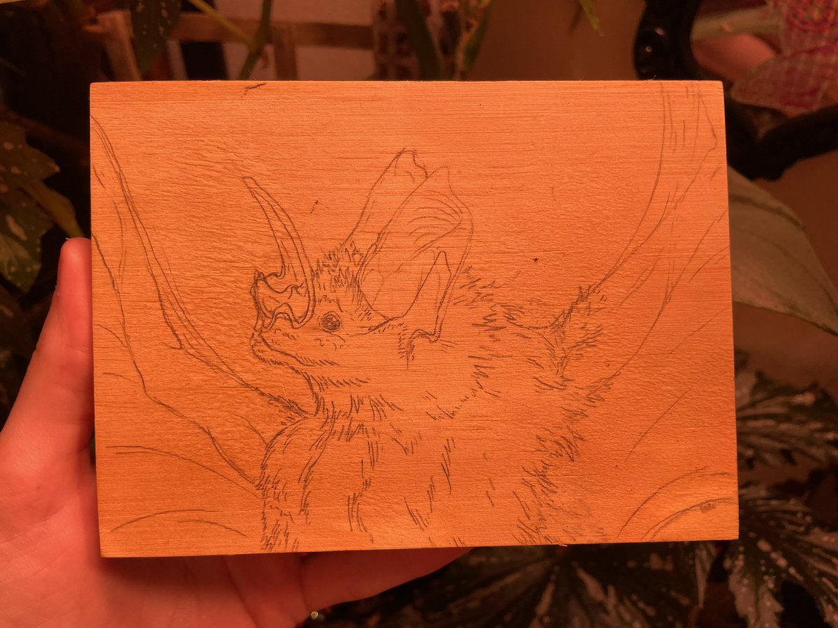 Katscales86 tweet media