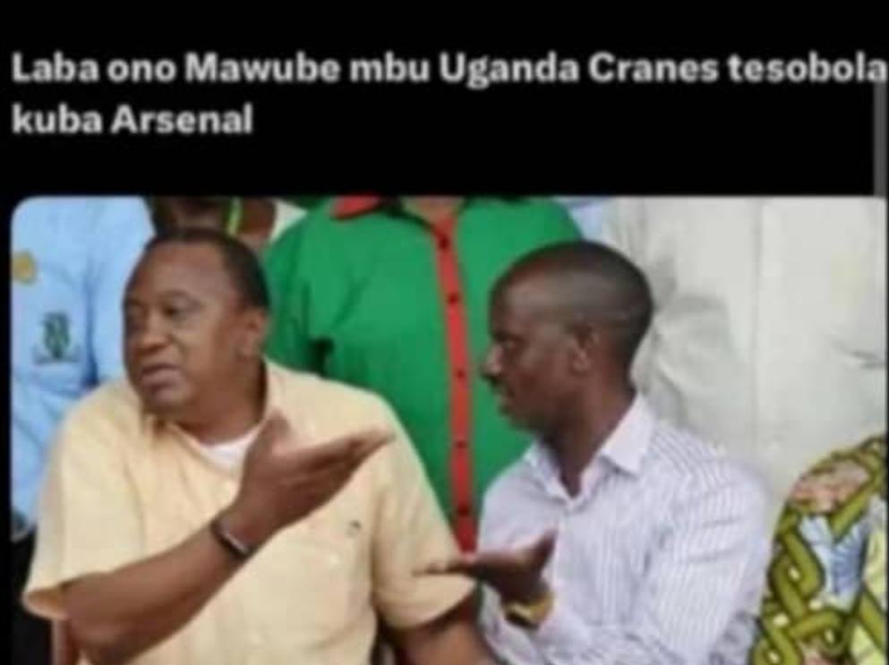 MCO.Balaam💉🧬 tweet media