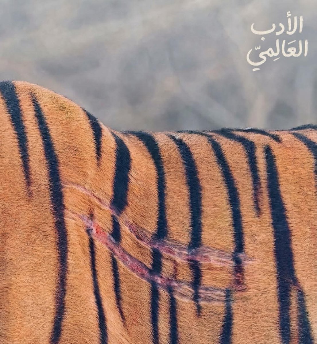 660433Sa's tweet photo. وإن كانَ قدَرُنا أنّنا نجَوْنا،
فإنَّ الأثَرَ لا يزالُ
يُذكِّرُنا…
بما مرَّ بنا. https://t.co/tqvuEhjwku