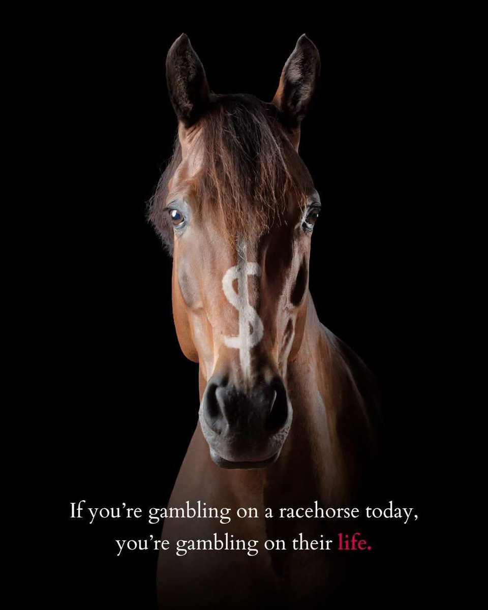 dominic dyer tweet media