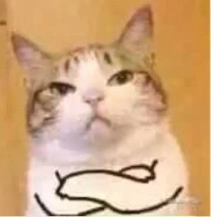 𝐵𝑒𝑡𝑠𝑖 🐱 tweet media