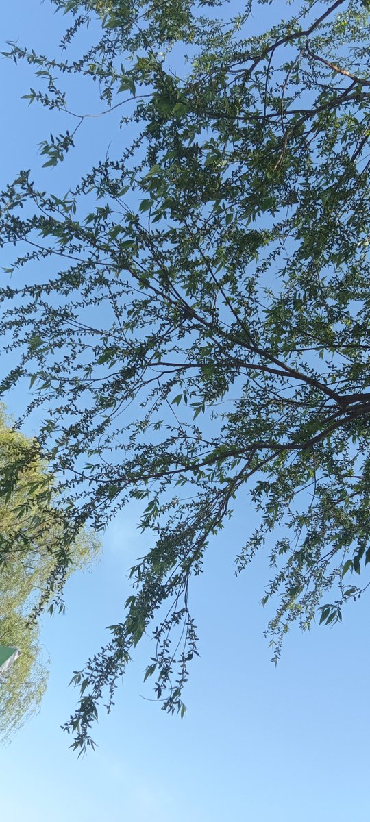 Snsports.tv tweet media