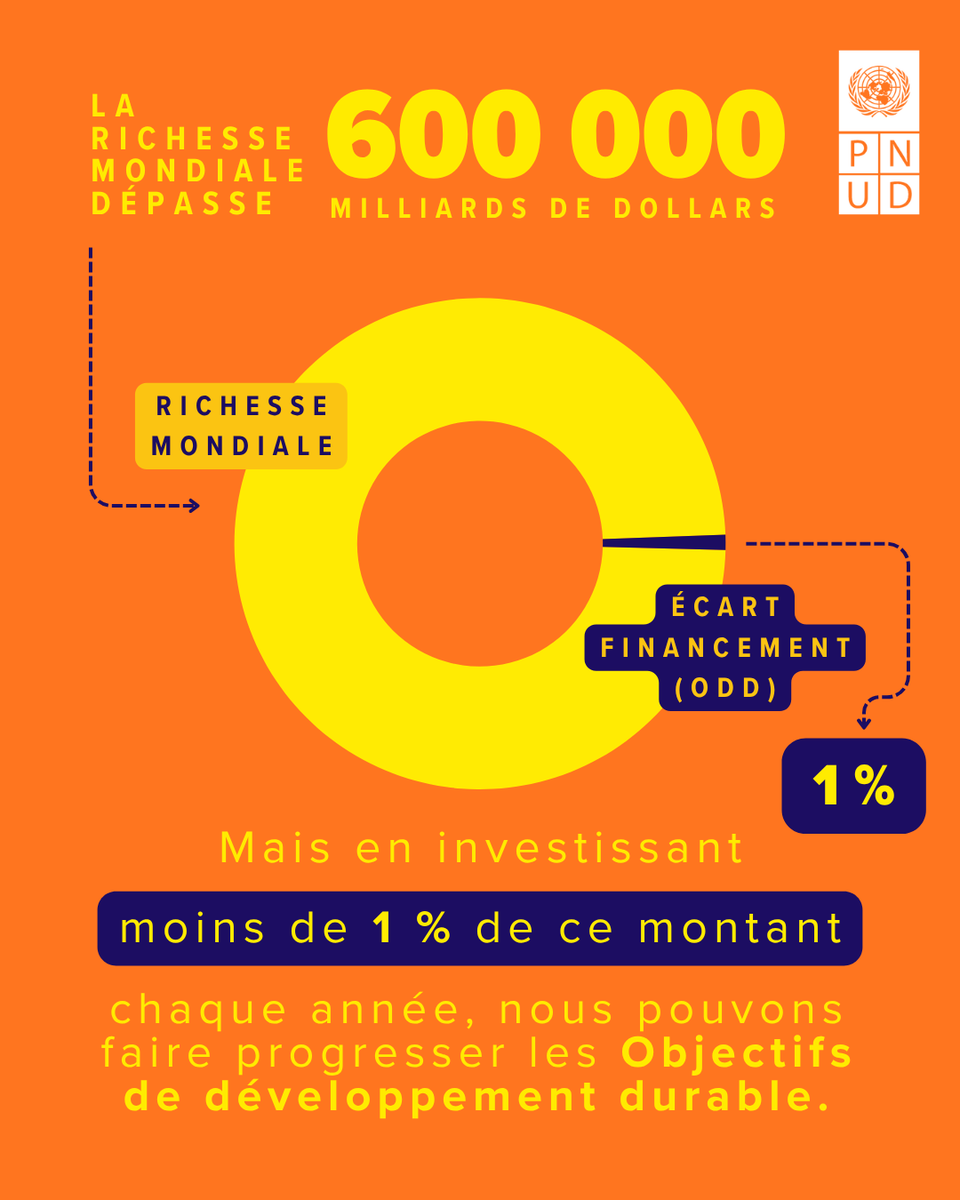 pnudfr's tweet image. Les ressources existent pour combler le déficit de financement, mais le système laisse des milliards de personnes de côté et éloigne encore les #ODD.

Il est temps de changer la manière de financer le développement : go.undp.org/Tcw

#FinancingOurFuture