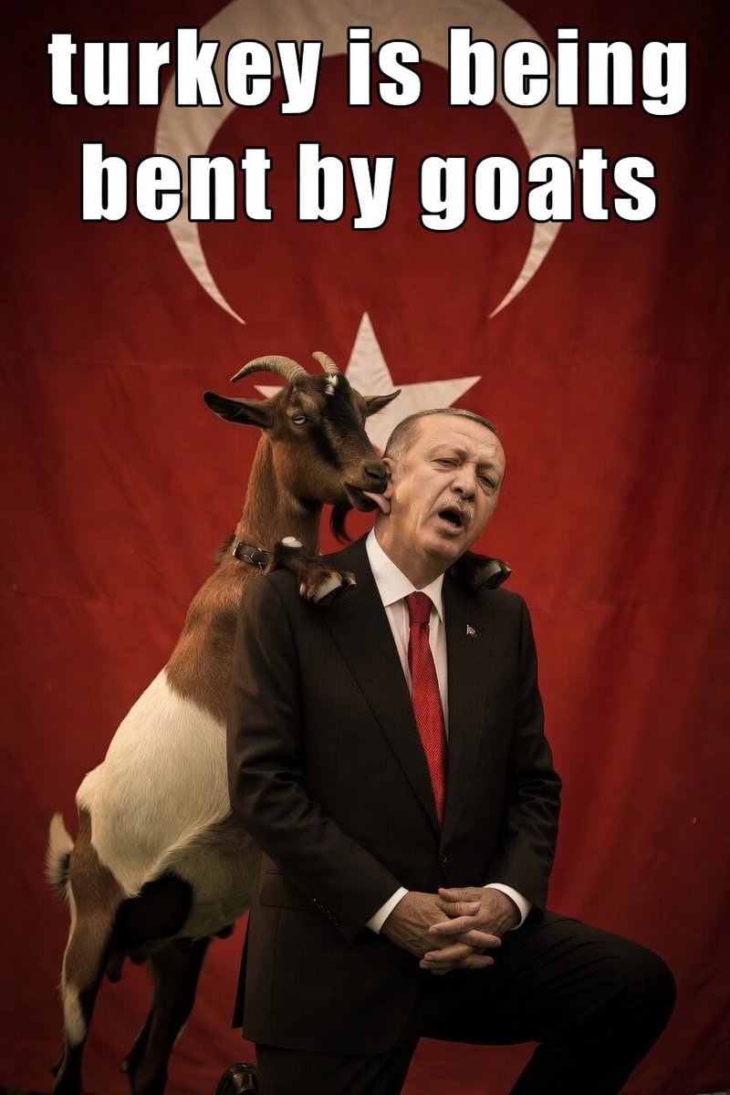 מיכאל קליין tweet media