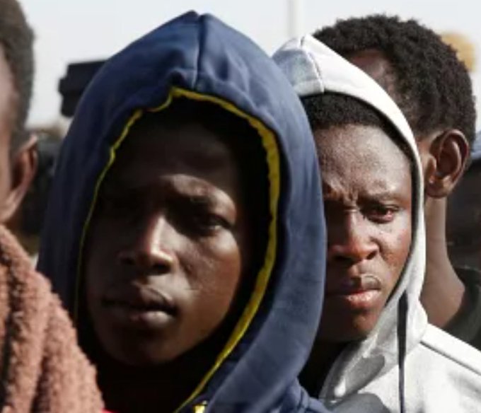 🇺🇸Trump Times 🇺🇸 tweet media