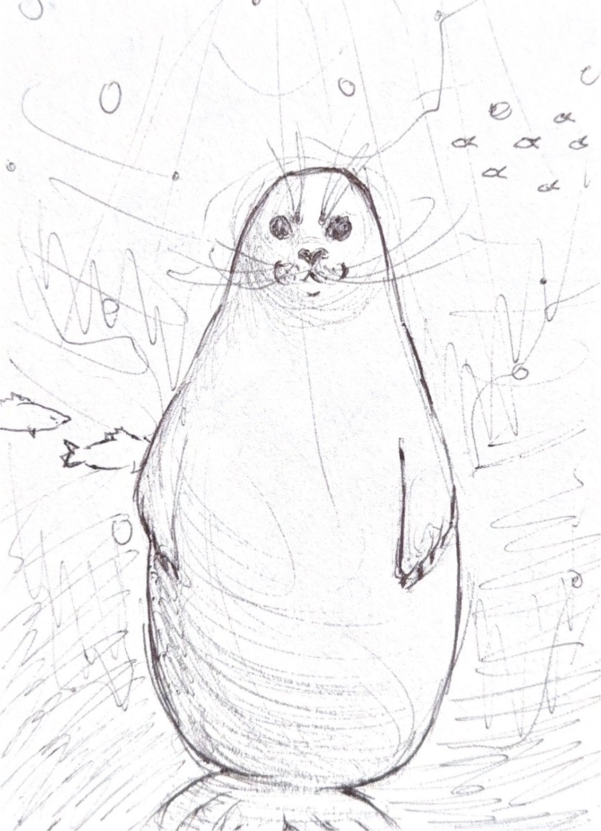 KiraaMiko's tweet image. Here’s some #seals #doodles!!🦭🦭🦭🦭🦭
#art #draw #traditionalart #seal #cute