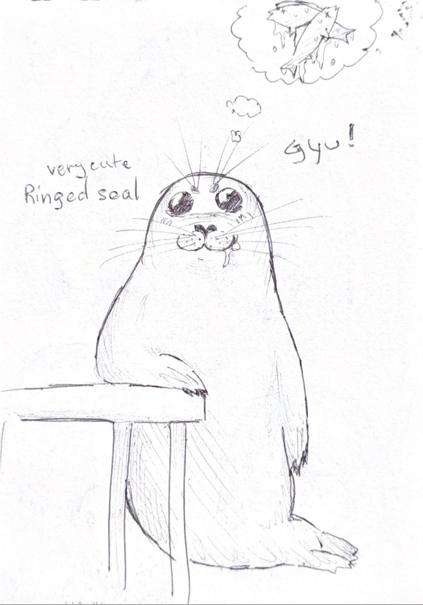 KiraaMiko's tweet image. Here’s some #seals #doodles!!🦭🦭🦭🦭🦭
#art #draw #traditionalart #seal #cute