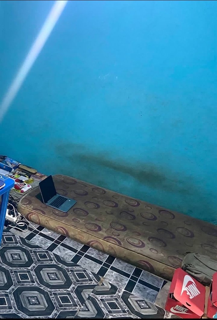 Tolu🌸 tweet media