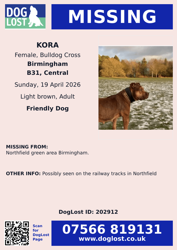 millypod1's tweet image. 🆘19 APR 2026 #Lost Kora #ScanMe
Bulldog Cross Female
Northfield Green area #Birmingham #B31 #Worcestershire #WestMidlands
Possibly seen on the railway tracks in Northfield
doglost.co.uk/dog/202912