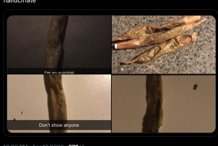 onetraitbangers's tweet image. joints i rolled at 20 when i would smoke weed in the attic and nothing bad would happen to me #420 #weed #marijuana #mattjay