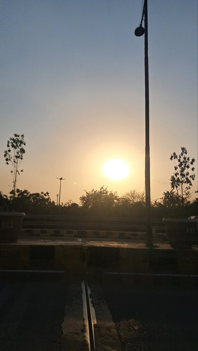 Usha Wildflower 🌱📚 🍀 tweet media