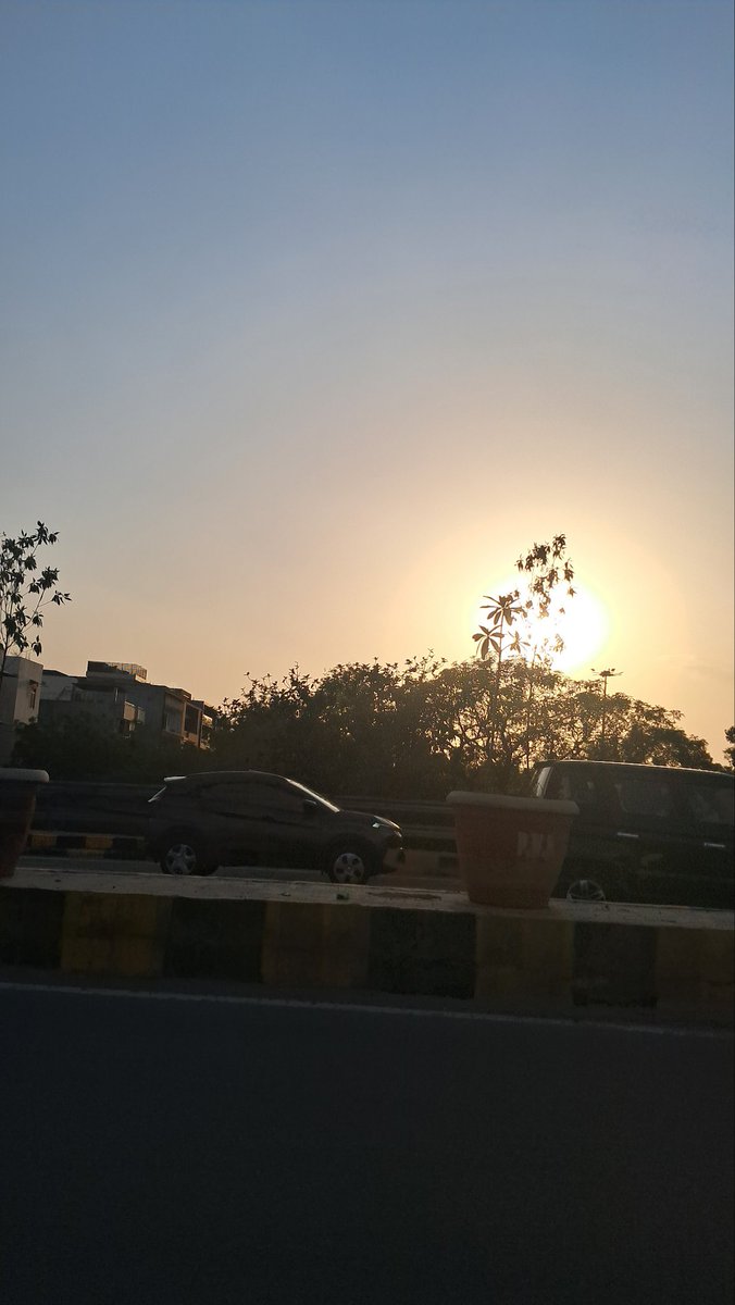 Usha Wildflower 🌱📚 🍀 tweet media