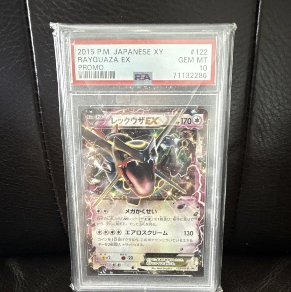 Cactastic🌵 tweet media