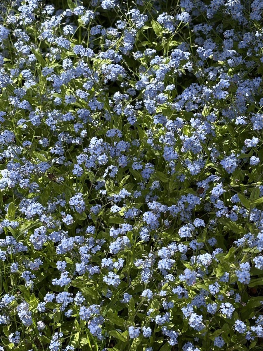 Dame Michy tweet media