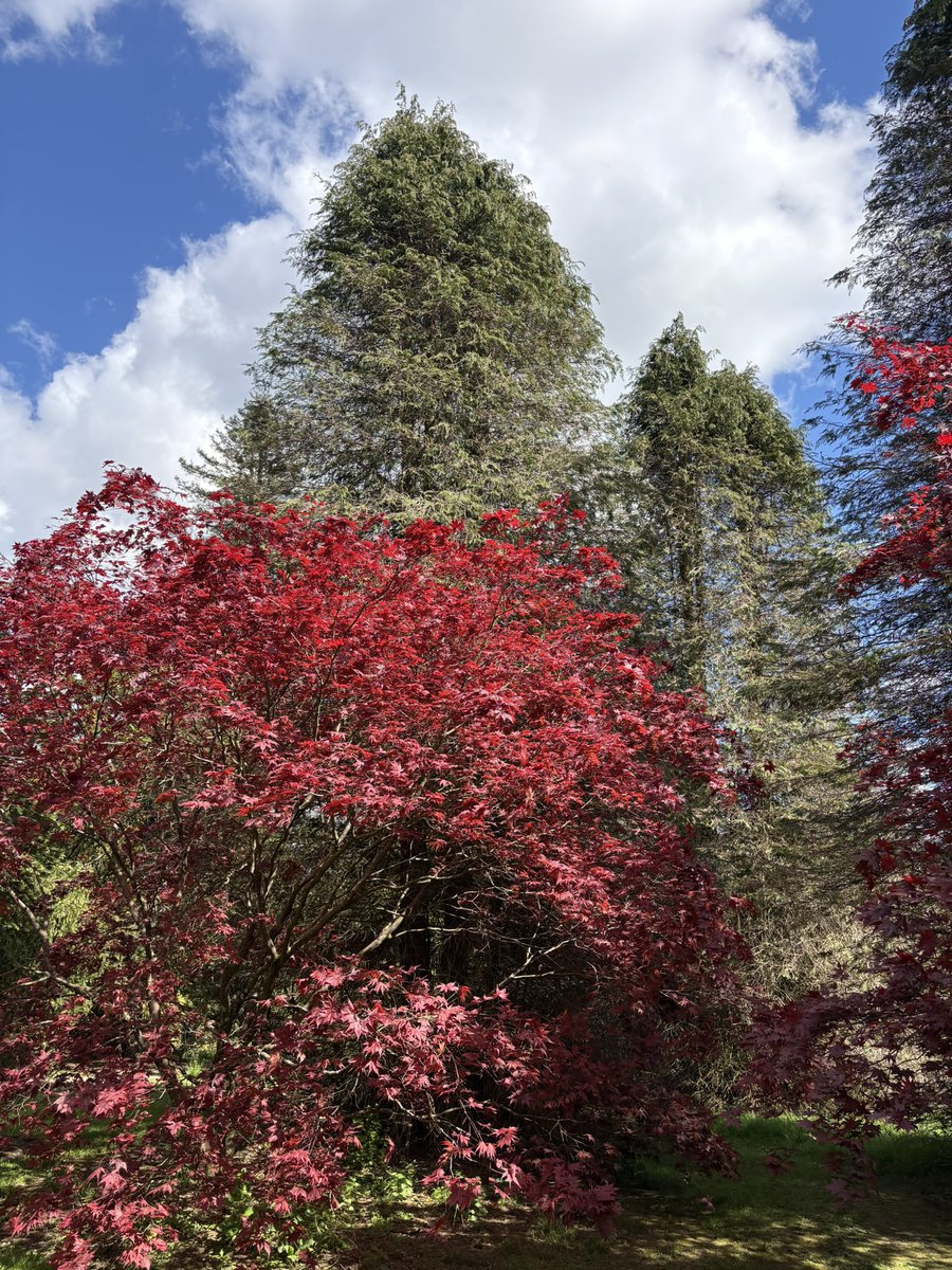 Dame Michy tweet media