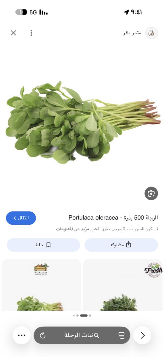 ام سلمان tweet media