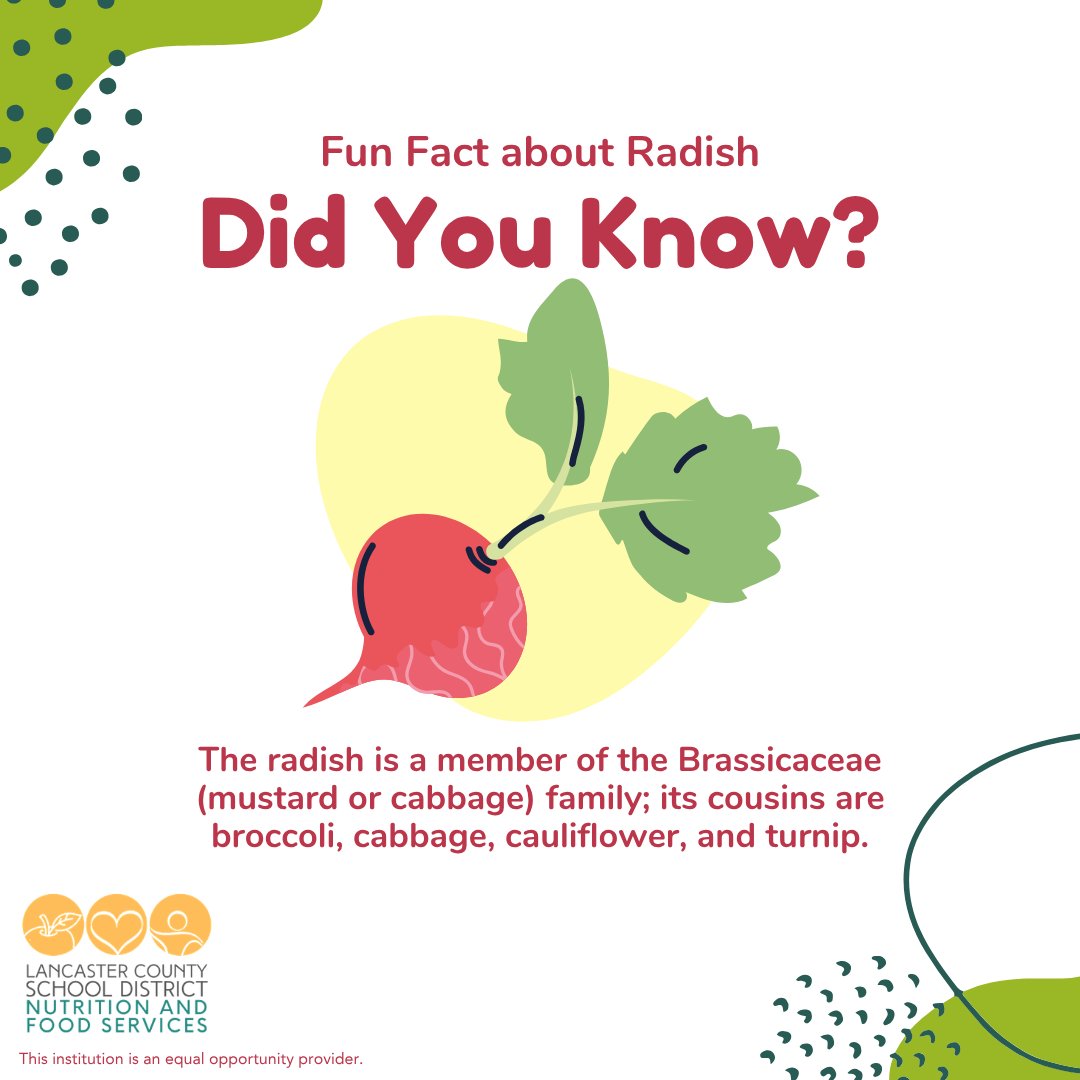 lcsdscnutrition's tweet image. Our students are so “rad!” 🤩
@LancasterCSD_SC #LancasterSC #LancasterSouthCarolina #Lancaster #SCschools #LancasterCounty